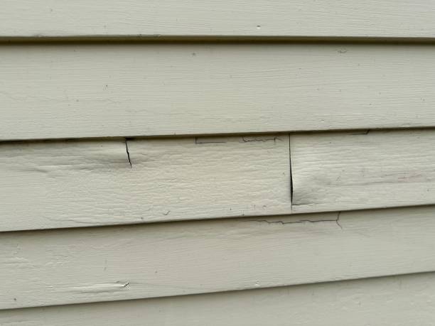 Best Composite Siding  in Nolensville, TN